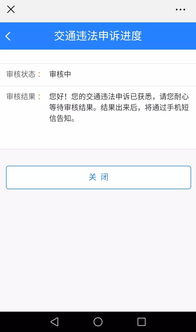 便民服務橋功能再升級 免費拍照辦駕照，大數據助您輕松選駕校