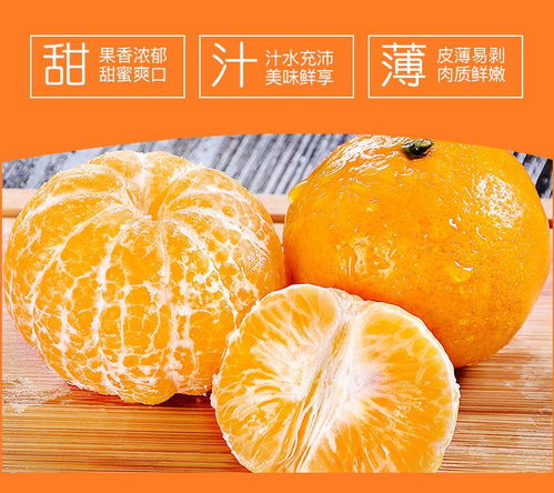 武鳴沃柑 新鮮應(yīng)季的甜蜜之選，打造健康果盤新風尚