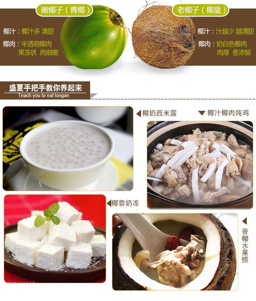 海南老椰子批發 品質之選，新鮮直達