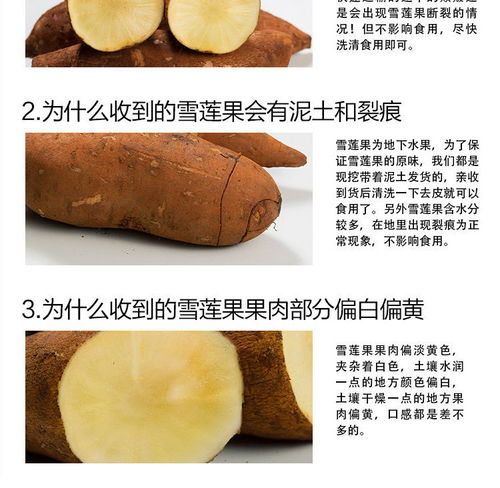 云南天山紅泥沙雪蓮果 高原珍品的大眾化之路