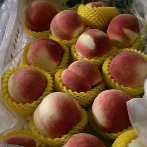 E佳精品水果批發(fā) 從產(chǎn)地到舌尖的新鮮保障